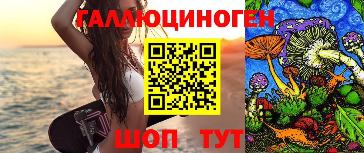 Галлюциногенные грибы Psilocybine cubensis  Вход с VPN  Северск 